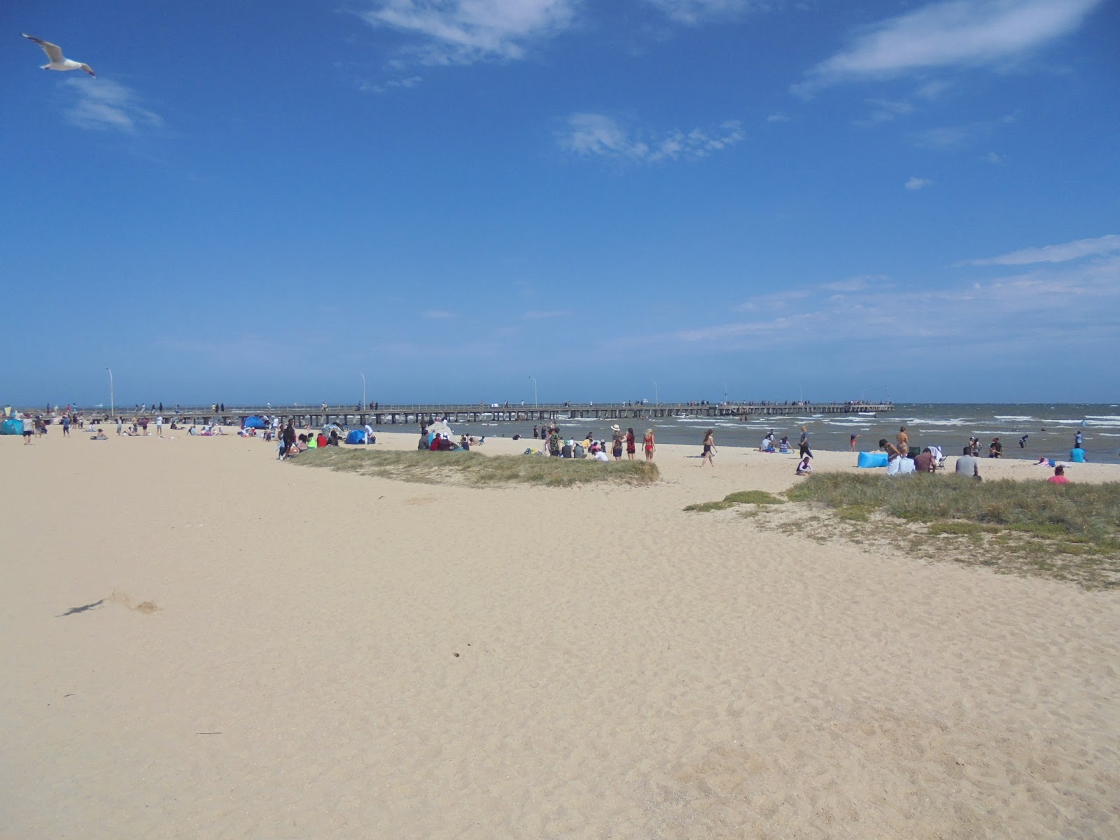 Altona Beach的照片 带有长直海岸