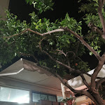 Photo n°4 de l'avis de Ela.i fait le 13/08/2020 à 05:58 sur le  Bliss Restaurant à Cagliari