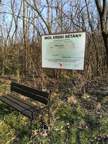 Szabadtéri erősítő park