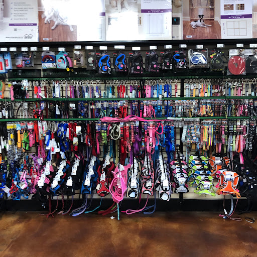 Pet Store «Choice Pet Market», reviews and photos, 2915 W Ray Rd, Chandler, AZ 85224, USA