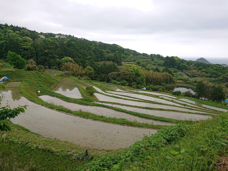 二子棚田