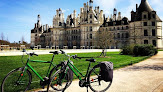 Les Vélos Verts - Location vélos Blois