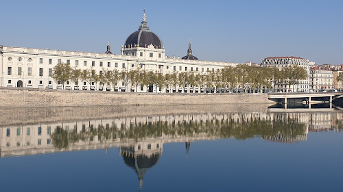 Agence immobilière B.I.C. IMMOBILIER Lyon