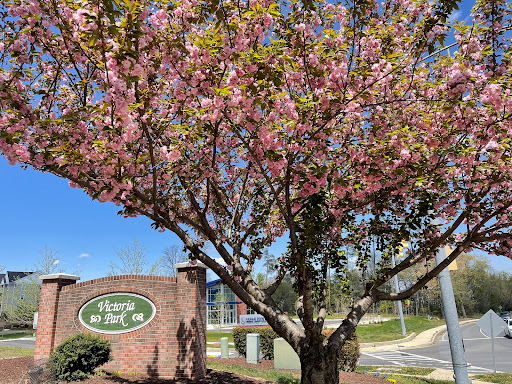 Grocery Store «Food Lion», reviews and photos, 191 St Patricks Dr, Waldorf, MD 20603, USA