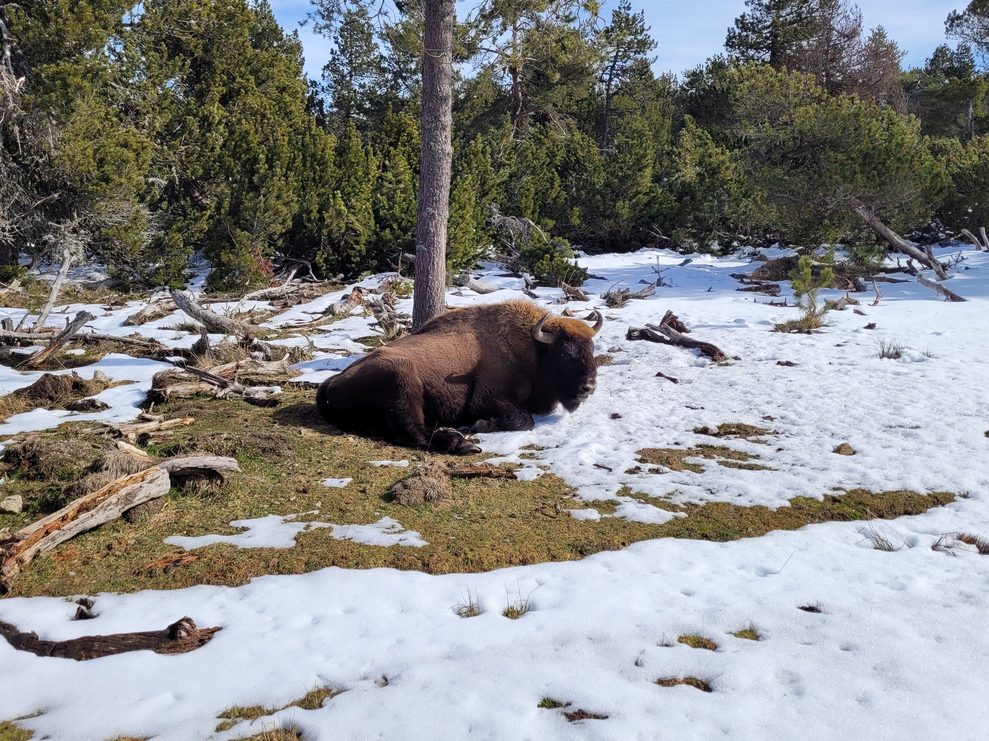 Photo n° 3 de l'avis de Marie.o fait le 19/02/2023 à 15:57