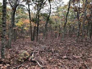 Pine Ridge Conservation Area - photo 66