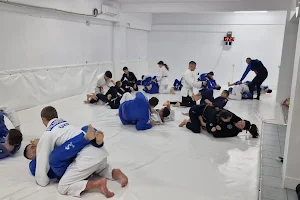 BULLTERRIERS FIGHT ACADEMY BJJ image