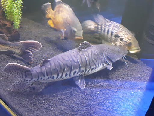 Aquarium «Aquatica», reviews and photos, 800 Clanton Rd H, Charlotte, NC 28117, USA