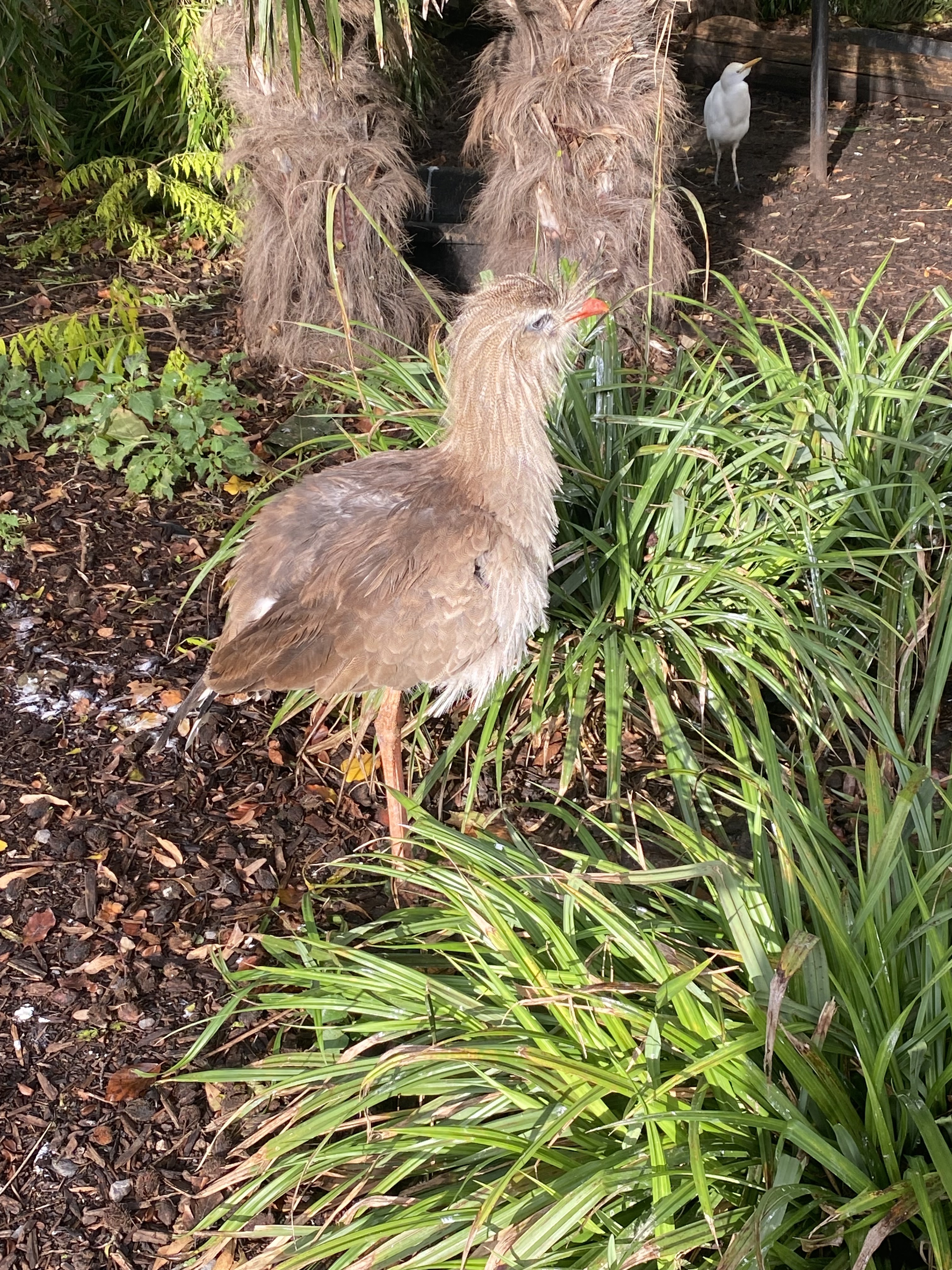 Photo n° 1 de l'avis de Elsa. fait le 05/11/2023 à 19:27