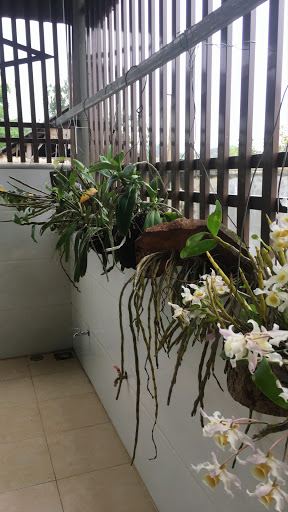 Top 20 chuỗi cửa hàng kepal Quận Hà Đông Hà Nội 2022