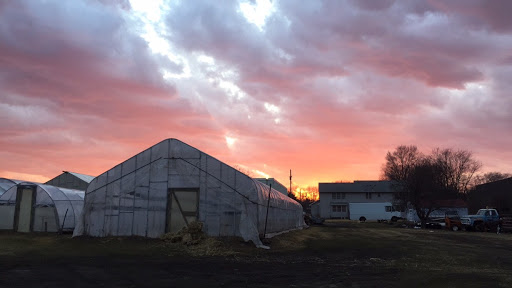 Florist «Pletschers», reviews and photos, 641 Old Hwy 8 SW, New Brighton, MN 55112, USA