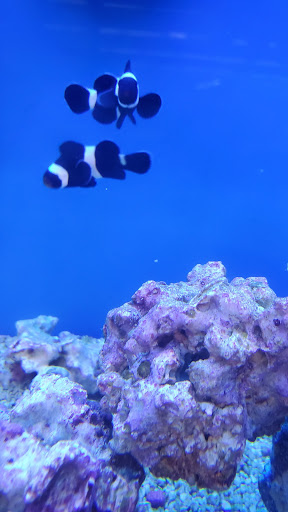 Pet Supply Store «Petco Animal Supplies», reviews and photos, 1310 Tingle Cir E b, Mobile, AL 36606, USA