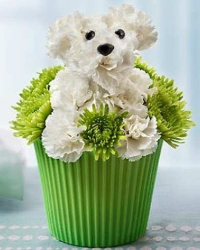 Florist «Rutherford Florist», reviews and photos, 67 Park Ave, Rutherford, NJ 07070, USA