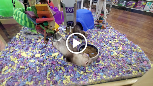 Pet Supply Store «Pet Supermarket», reviews and photos, 11160 Panama City Beach Pkwy #402, Panama City Beach, FL 32407, USA