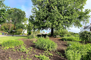 Mountain View Community Garden