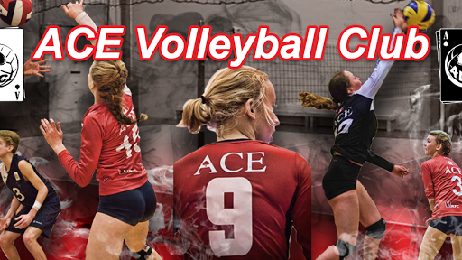 Ace Volleyball Club- Calgary Chapter