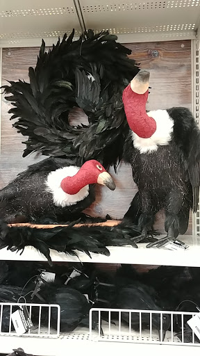 Craft Store «Michaels», reviews and photos, 600 Hartford Rd, New Britain, CT 06053, USA