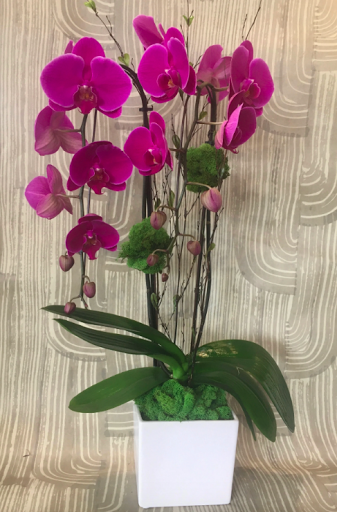 Florist «Growing Wild», reviews and photos, 1201 Highland Ave, Manhattan Beach, CA 90266, USA