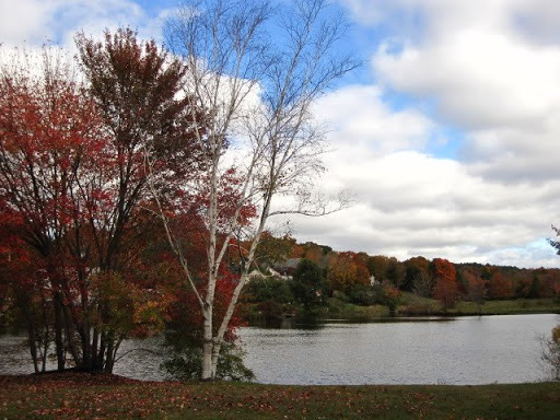 Convenience Store «Mill Pond Country Store», reviews and photos, 220 East St, Stafford Springs, CT 06076, USA