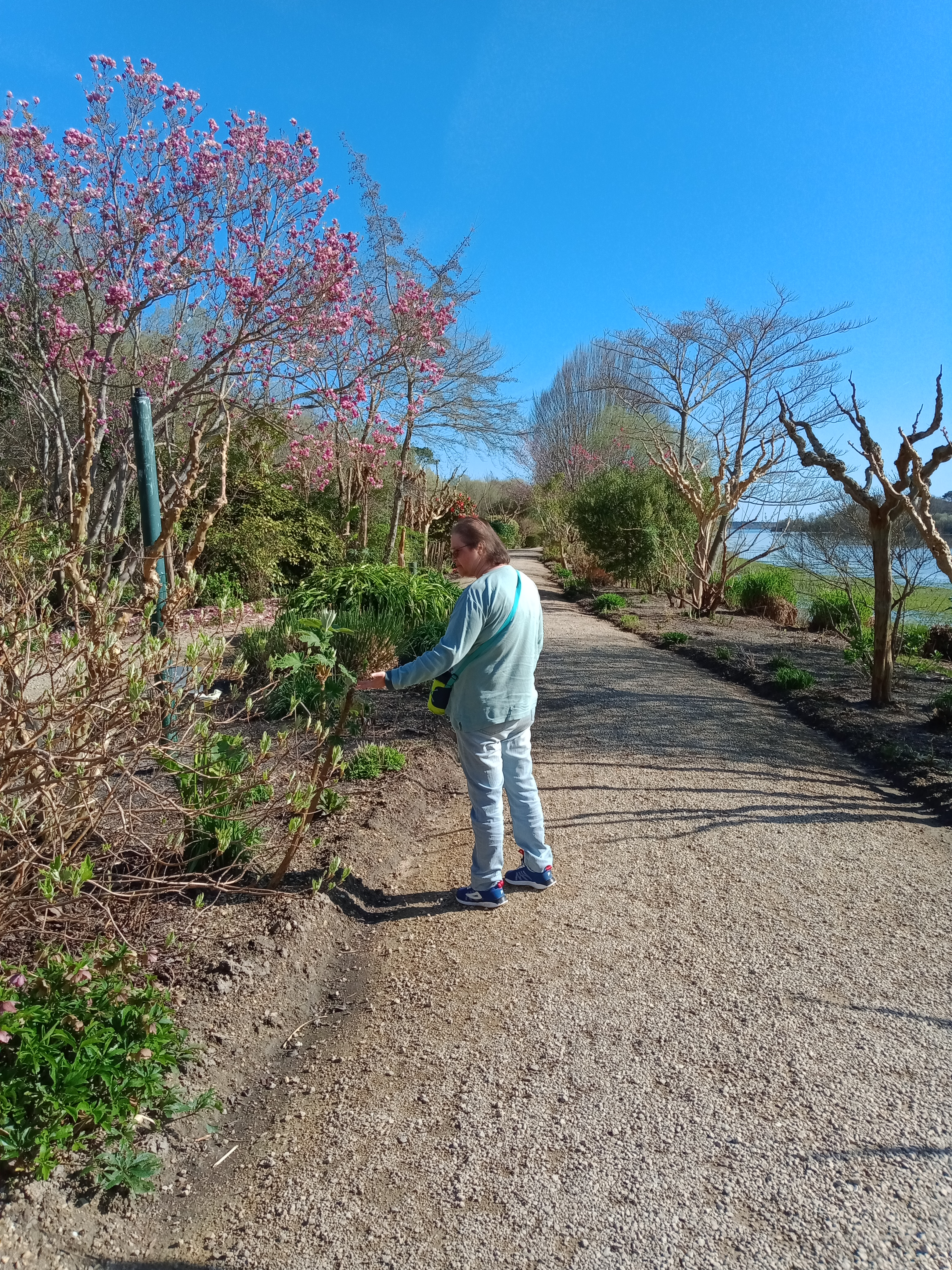 Photo n° 6 de l'avis de Claude.o fait le 19/03/2024 à 17:48