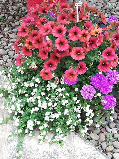 Florist «Drying Shed», reviews and photos, 1587 Newcomer Rd, Chambersburg, PA 17202, USA