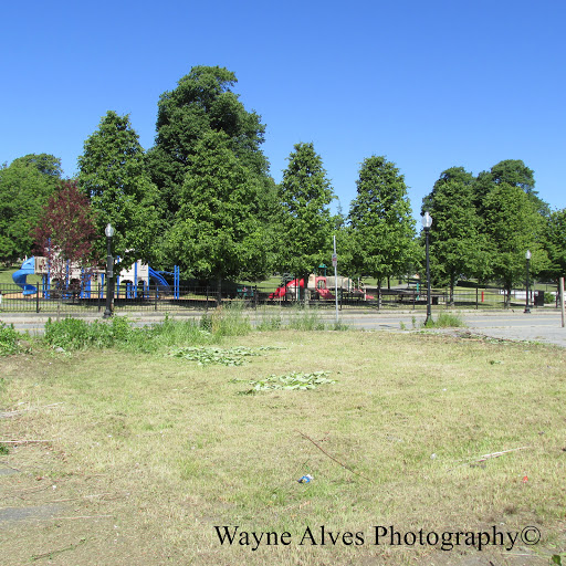 Park «Clasky Common Park», reviews and photos, Purchase St, New Bedford, MA 02740, USA