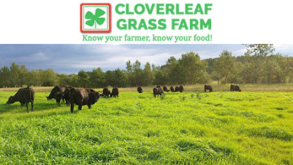 Cloverleaf Grass Farm