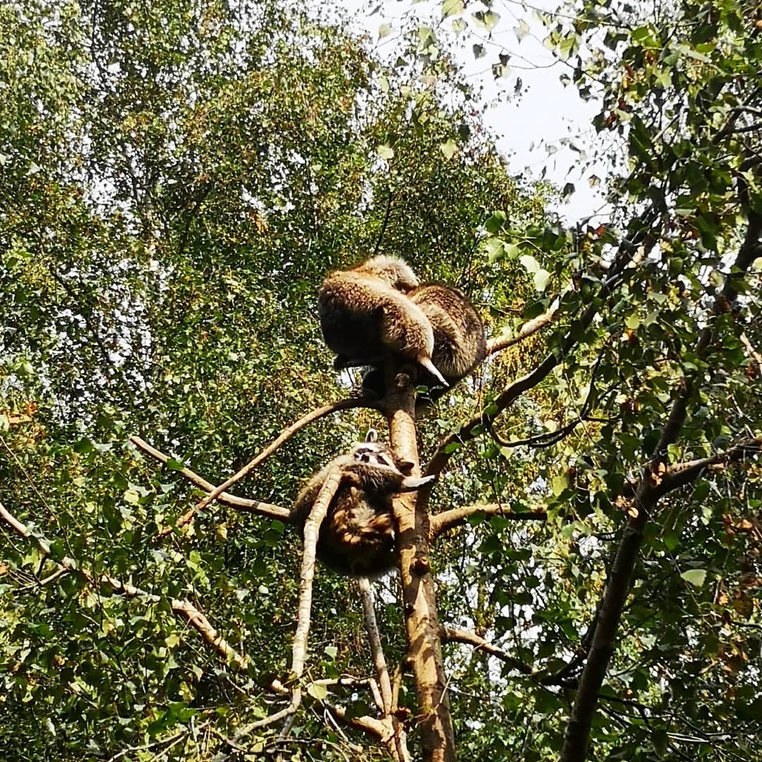 Photo n° 7 de l'avis de Xxx.x fait le 14/08/2020 à 21:01