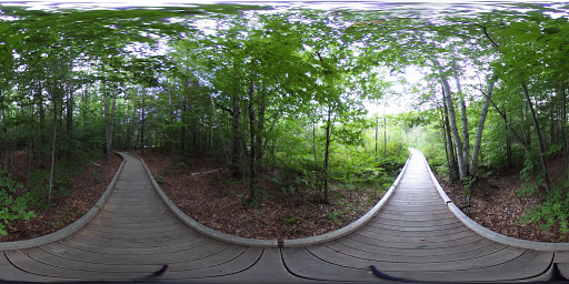 Nature Preserve «Eshqua Bog Natural Area», reviews and photos, Garvin Hill Rd, Woodstock, VT 05091, USA