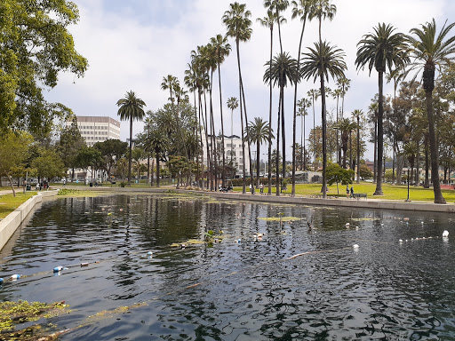 Bathing spots in Los Angeles