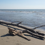 Photo n°3 de l'avis de Solo.i fait le 18/08/2019 à 11:45 sur le  Soleluna Spiaggia Barricata à Porto Tolle