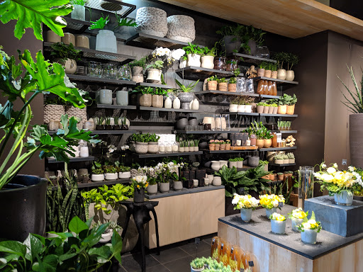 Florist «Winston Flowers - Financial District», reviews and photos, 176 Federal St, Boston, MA 02110, USA