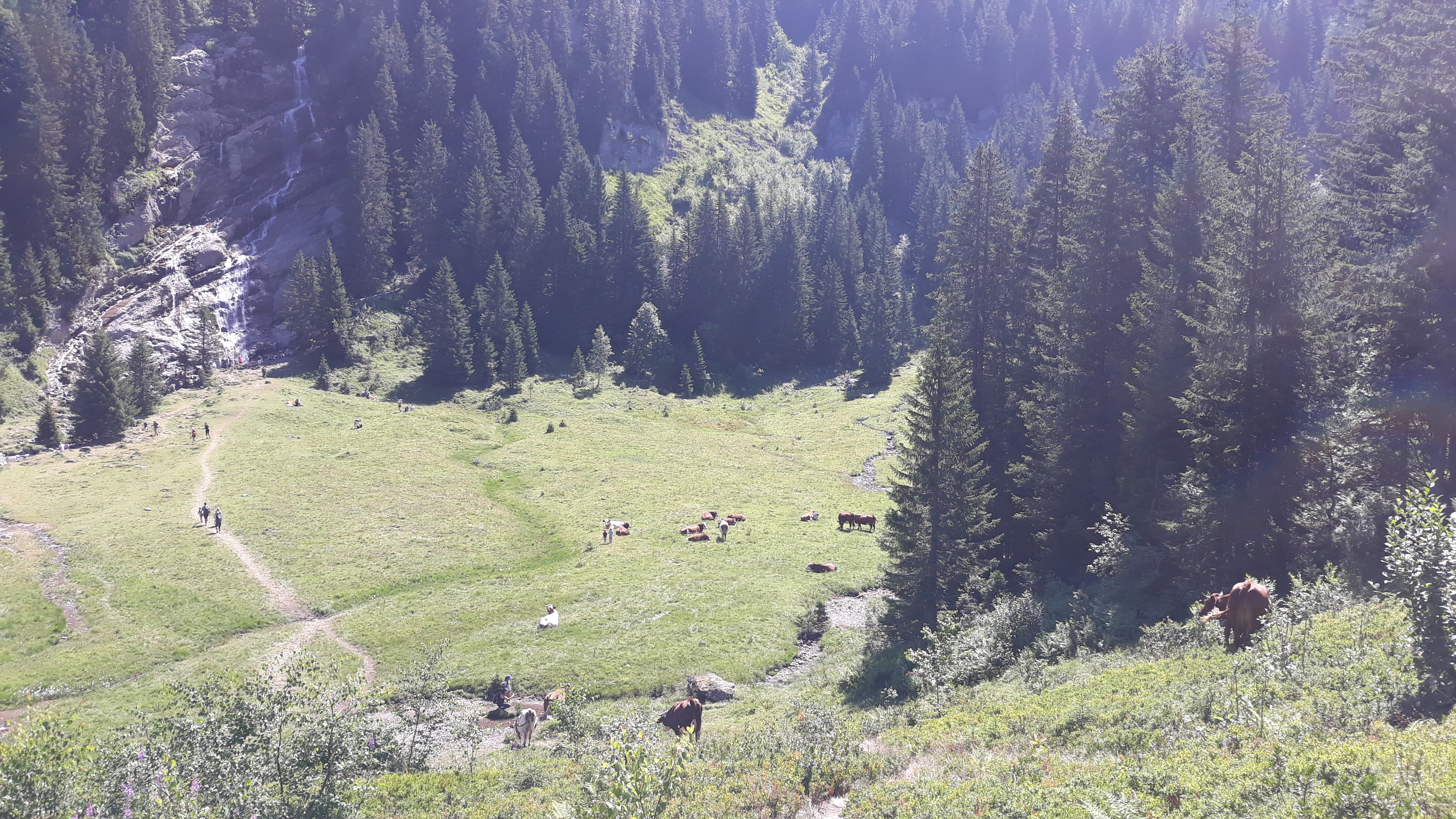 Photo n° 4 de l'avis de YANN.A fait le 04/08/2019 à 11:38