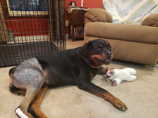 777 N Service Rd E, Sullivan, MO 63080, USA