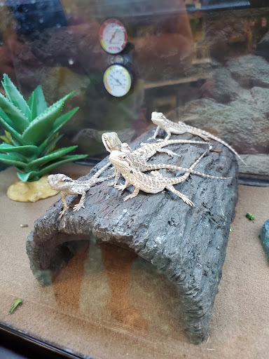 Pet Supply Store «Petco Animal Supplies», reviews and photos, 1808 Tamiami Trail a, Port Charlotte, FL 33948, USA