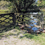 Photo n°6 de l'avis de Uwe. fait le 23/09/2018 à 19:39 sur le  Hotel Terme Orvieto Abano Terme à Abano Terme