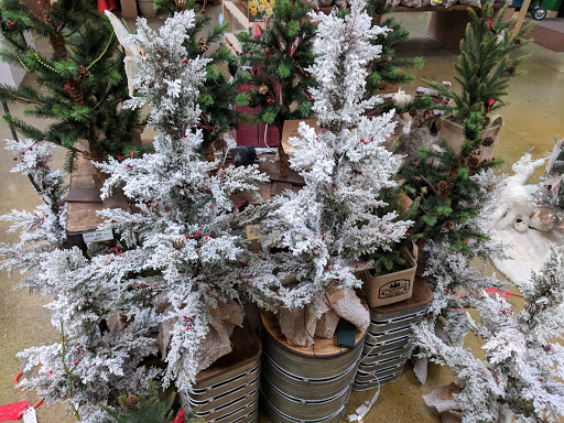 Hardware Store «Orchard Supply Hardware», reviews and photos, 5424 Ygnacio Valley Rd, Concord, CA 94521, USA