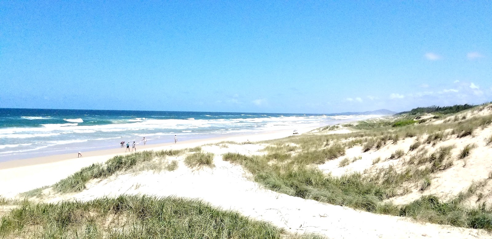 Foto de Castaways Beach localizado em área natural