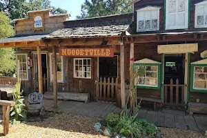 Gold Nugget Museum image