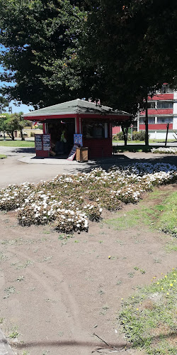 San Pedro de la Paz, Bío Bío