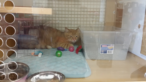 Petco image