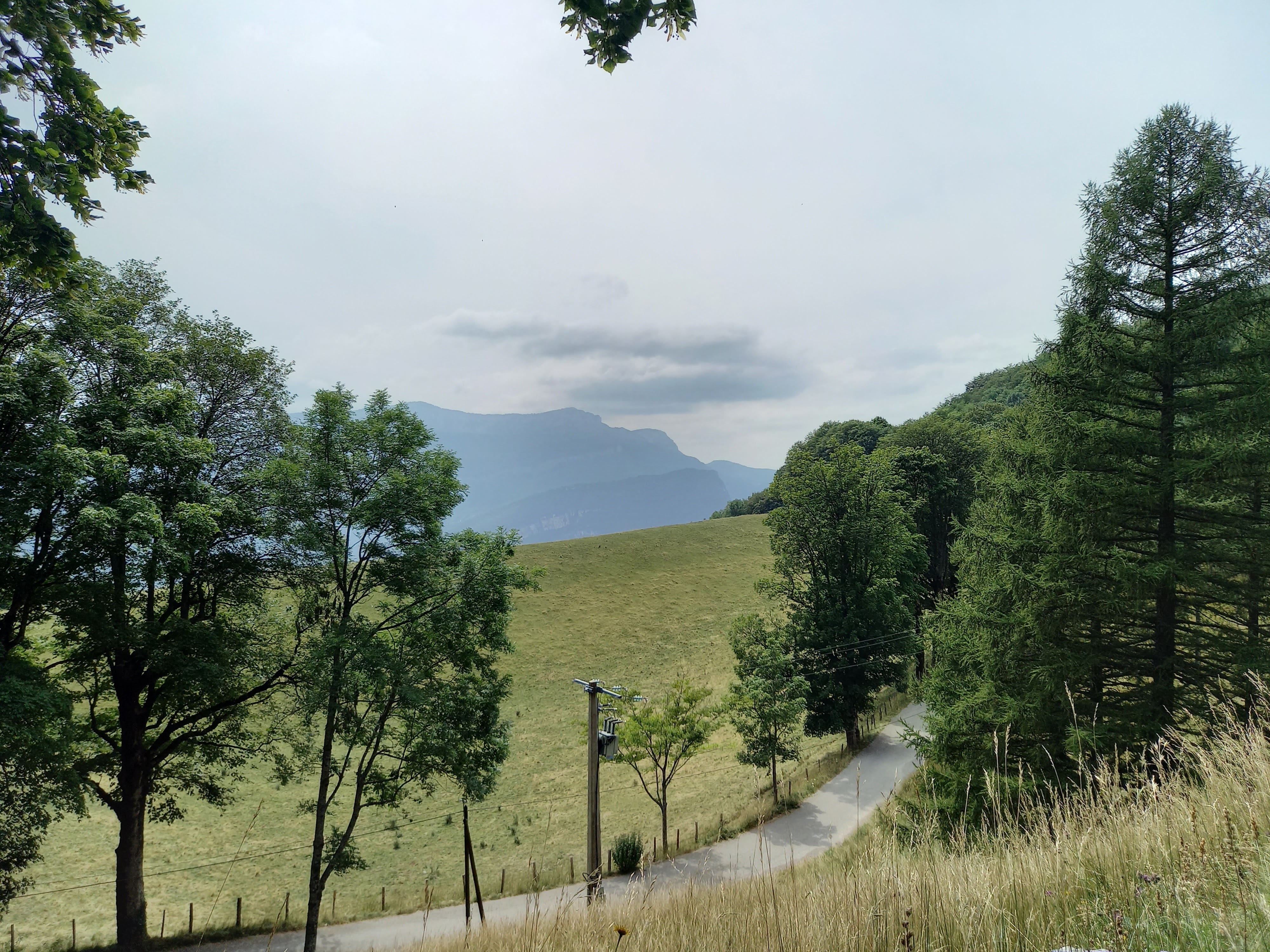 Photo n° 10 de l'avis de PESQUET.o fait le 22/07/2023 à 16:55