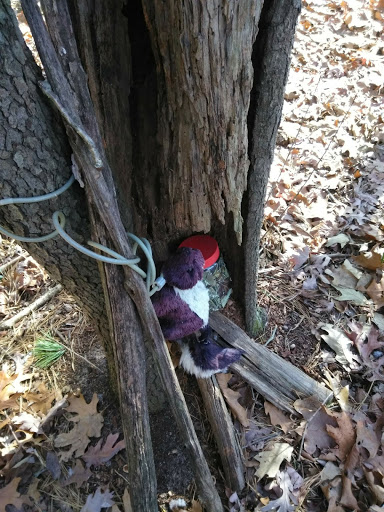 Disc Golf Course «South Vineland Disc Golf Course- Crystal Lake», reviews and photos, W Elmer Rd, Vineland, NJ 08360, USA