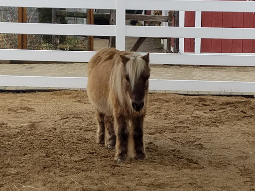 Zoo «Cosley Zoo», reviews and photos, 1356 N Gary Ave, Wheaton, IL 60187, USA