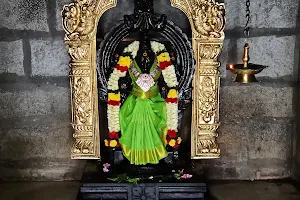 Sri Naganather Temple MEENAMPALAYAM image
