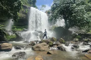 Punnayar waterfalls image