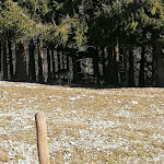 Photo n°4 de l'avis de Javier.o fait le 16/01/2022 à 13:04 sur le  Maso Rosso - Food and Drink à Rubbio