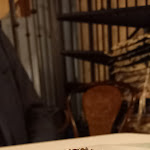 Photo n°2 de l'avis de Elena. fait le 03/08/2023 à 21:11 sur le  Vecchia Capronno à Capronno