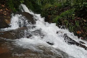 Thonippara Waterfalls image