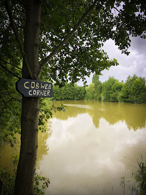 Lake Sarock à Pernant